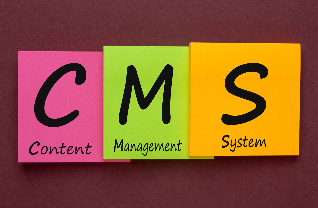 CMS Development Services